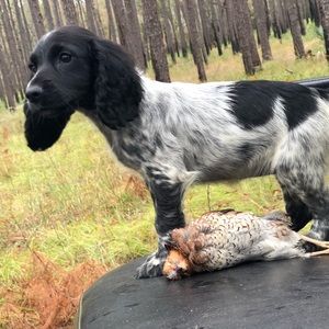 Meet your Posher, Robert